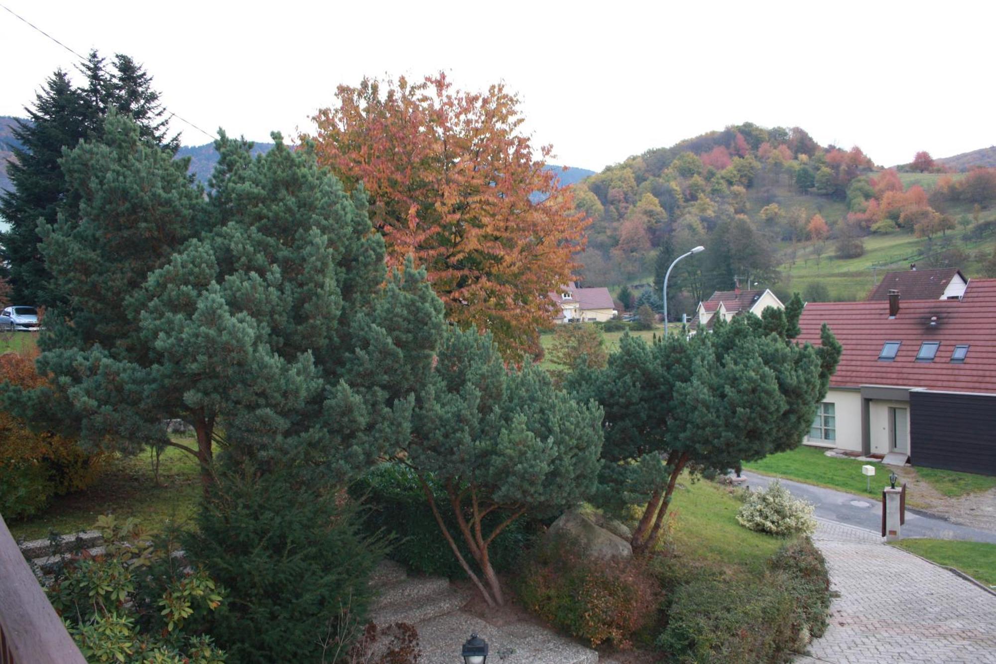 Gite Bellevue Villa Breitenbach Exterior photo