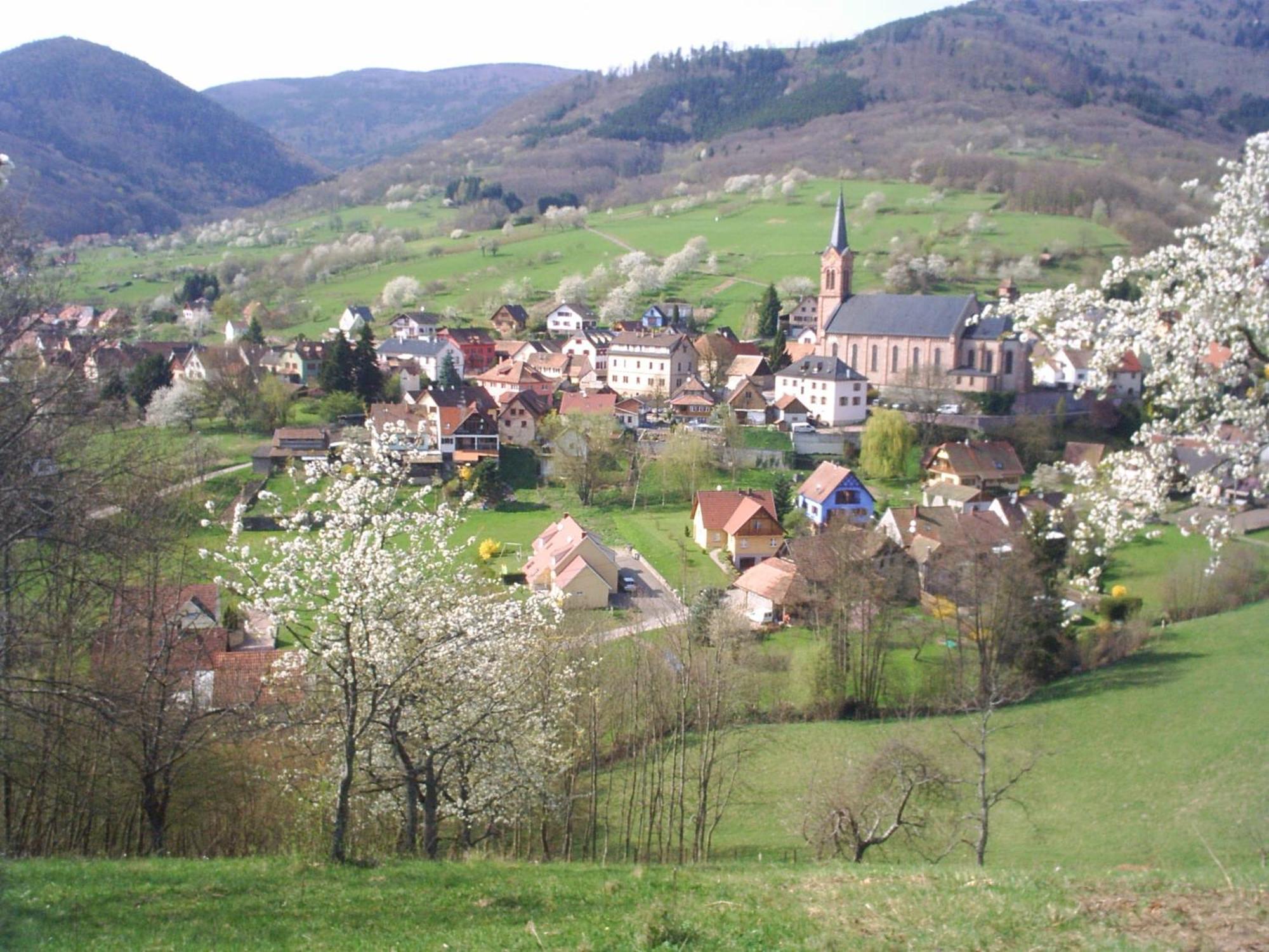 Gite Bellevue Villa Breitenbach Exterior photo