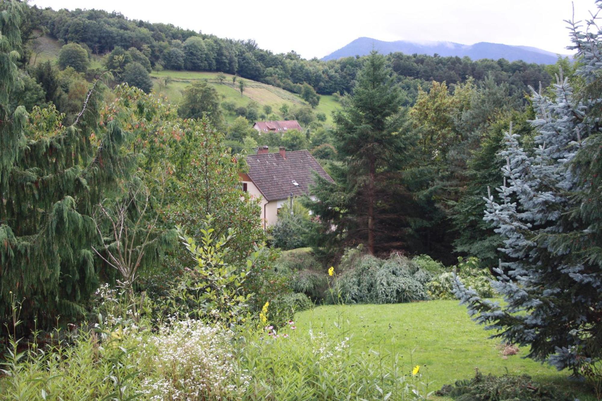 Gite Bellevue Breitenbach Exterior photo